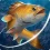 Fishing Hook MOD APK v2.6.8 (Menu, Unlimited Money, Gems, Unlocked)